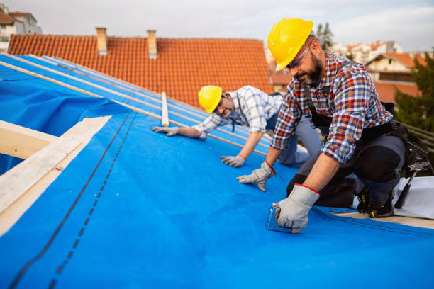 Best Emergency Roof Repair  in Terre Haute, IN