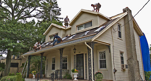 Best Best Roofing Contractors  in Terre Haute, IN