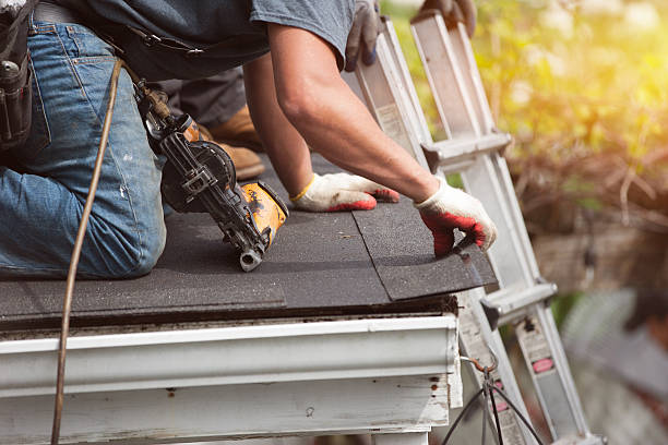 Best New Roof Installation  in Terre Haute, IN