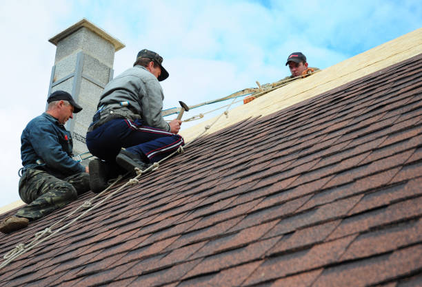 Quick and Trustworthy Emergency Roof Repair Services in Terre Haute, IN