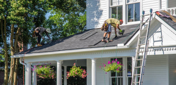 Best Roof Gutter Cleaning  in Terre Haute, IN