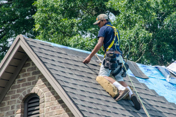 Best Residential Roofing Contractor  in Terre Haute, IN